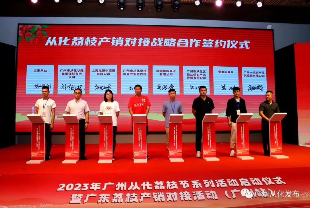 从化荔枝旅游节活动策划,关于广州增城荔枝节