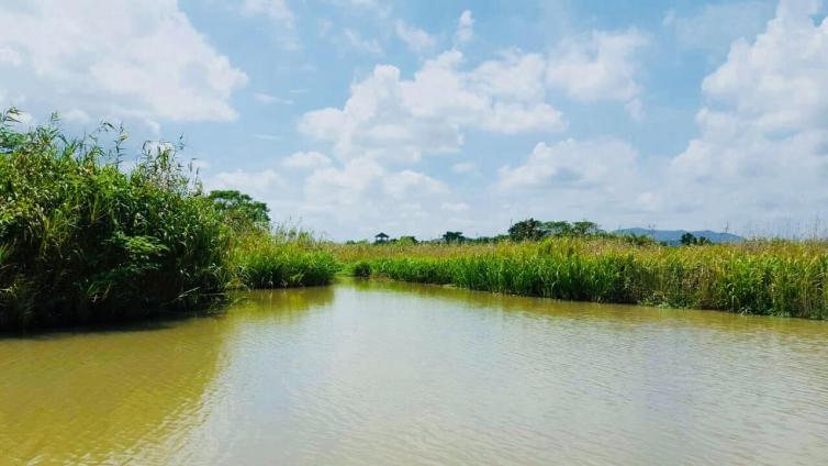苏州旅游攻略自驾游最佳路线,苏州到张家界自驾游攻略最佳路线