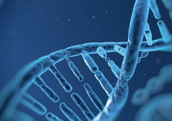 补充叶酸和维生素B6，可有效预防脑梗死，科学服用注意4点