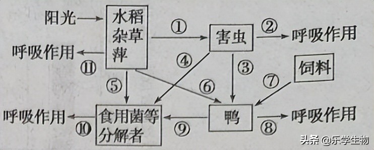 2024届高三生物模拟试题新高考,t8联考2022届第二次联考生物答案