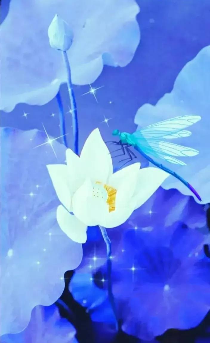 荷花壁纸手机超清全面屏,荷花千瓣莲唯美高清大图壁纸