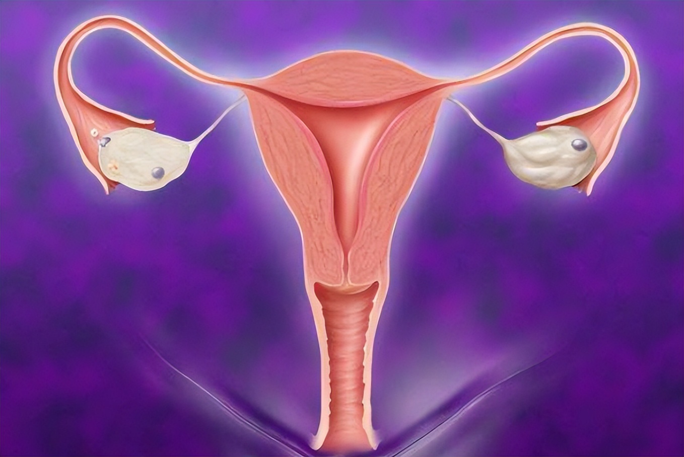 试管移植第十天hcg多少算着床成功,试管移植12天hcg翻倍是成功了吗