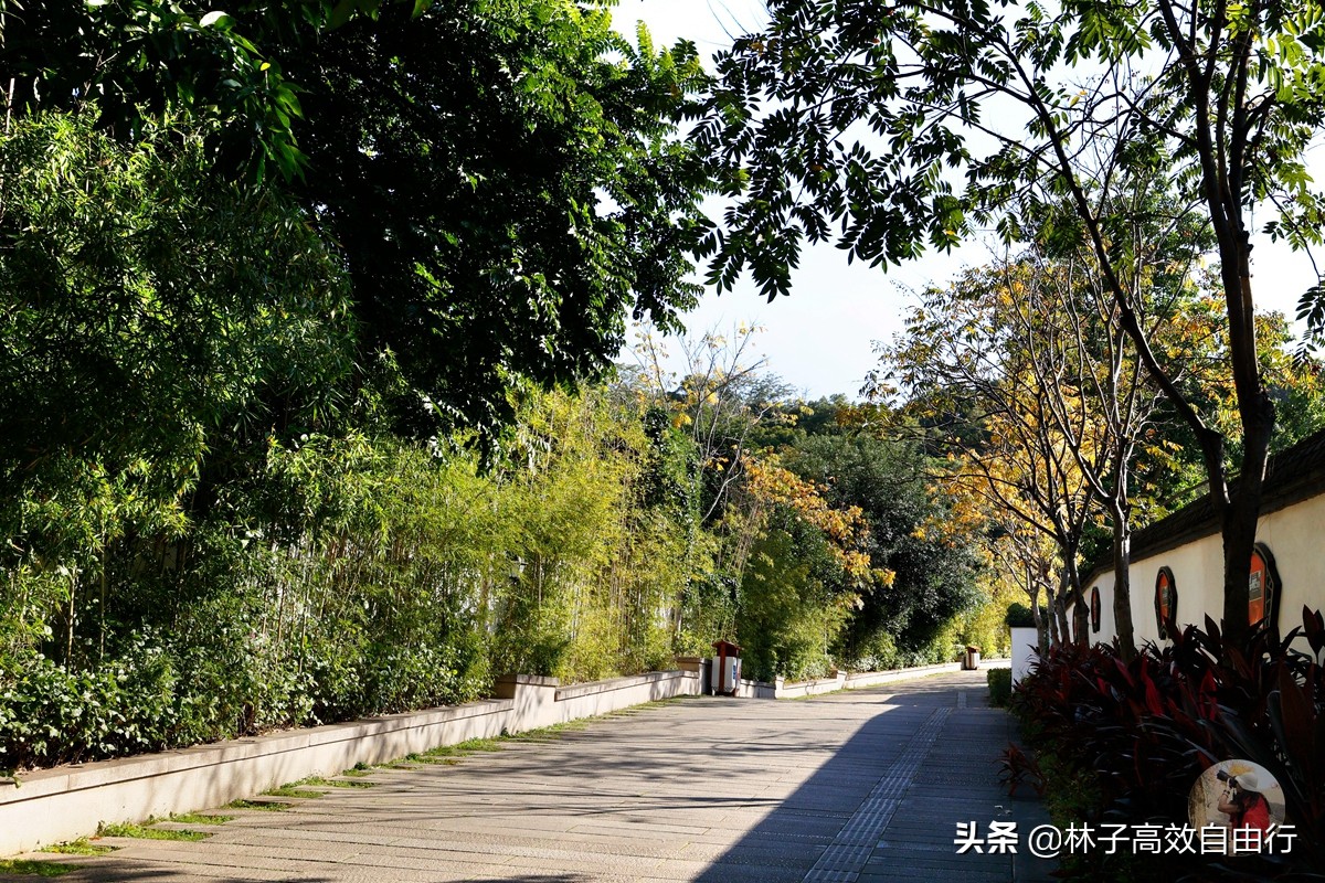 福州有哪些特色玩的,福州市区游玩攻略