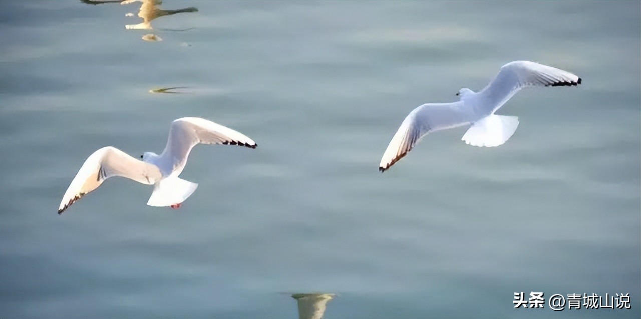青岛疫情严重么,青岛疫情真的有那么严重吗