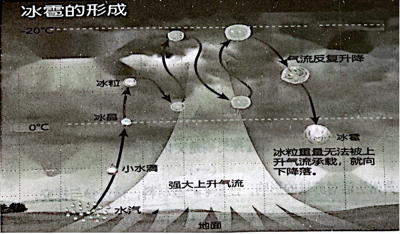 2023年江苏省南京市玄武区中考语文一模试卷