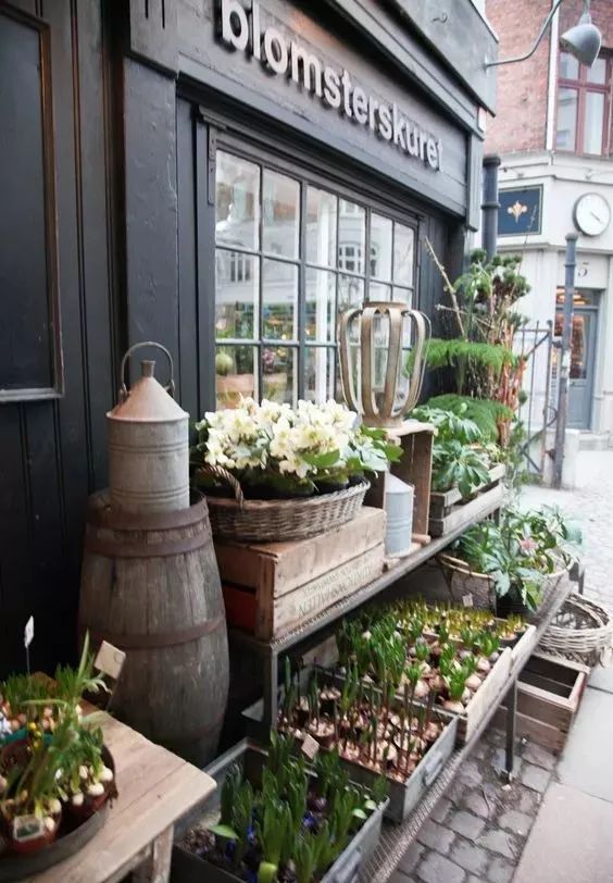 花店的暴利行业,开花店真的暴利吗