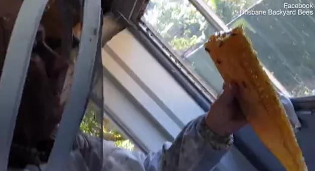 澳洲夫妇家墙壁突然莫名“渗血”!两人鼓起勇气拆开墙