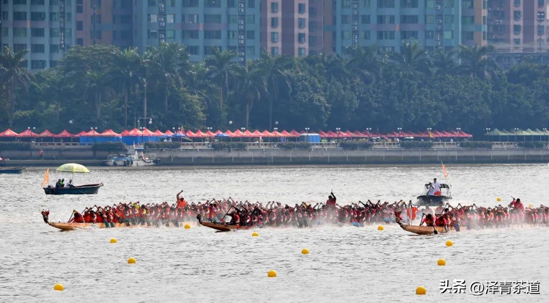 端午节如何吃粽子喝茶更健康,端午节吃粽子搭配茶解腻更健康