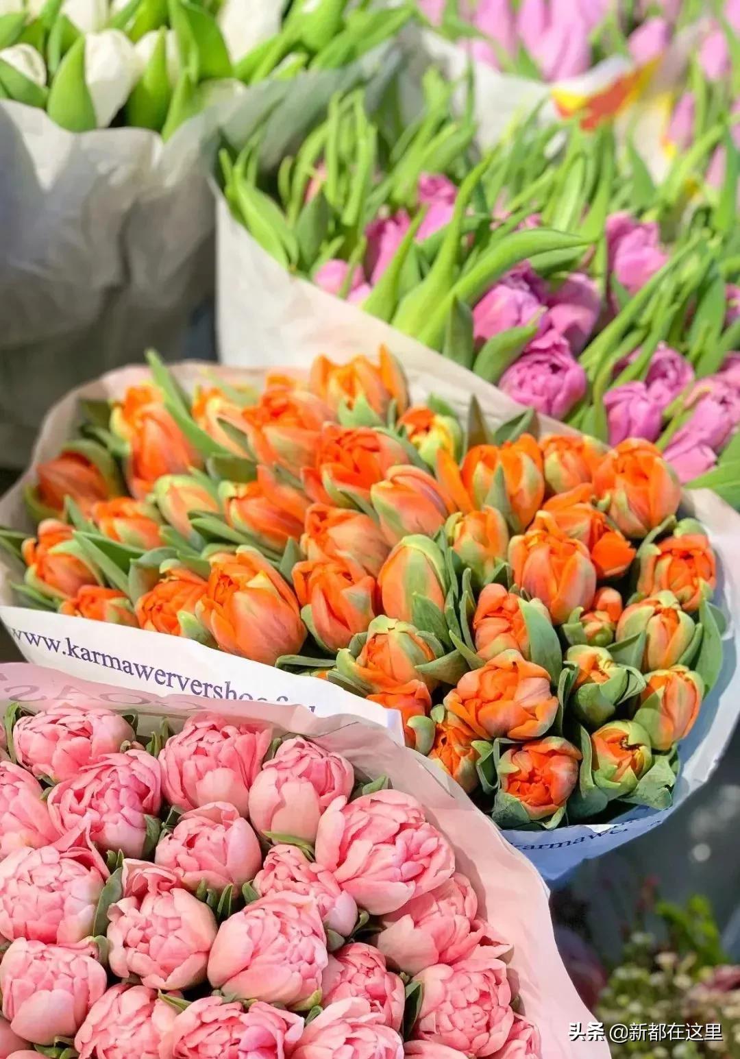 邂逅成都的100个生活细节,邂逅成都的一百个细节