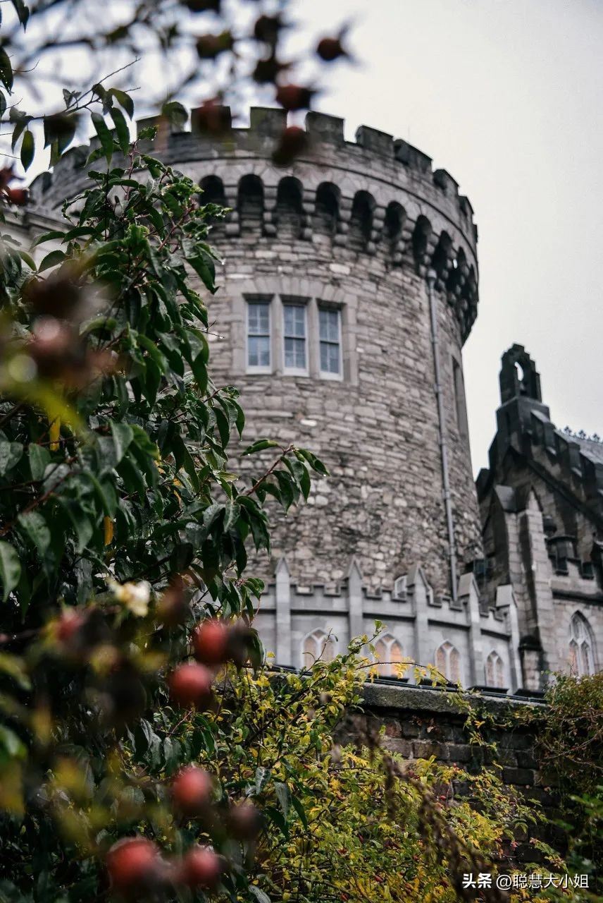 最绿的国家,最绿国家