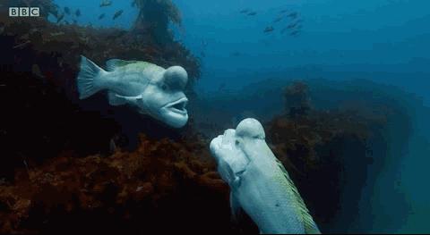 暑假怎么教育孩子,暑假怎么教育初中儿子