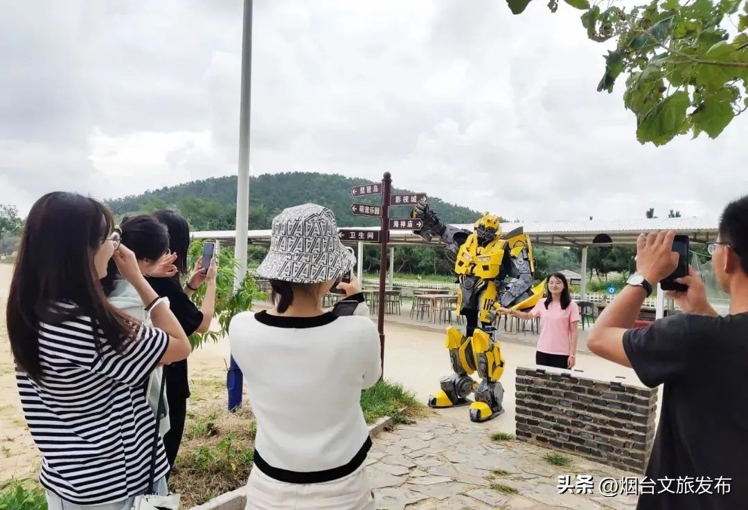 魅力海阳行,魅力新浦海阳