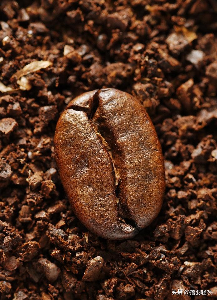 咖啡豆推荐意式咖啡顶级,什么牌子的咖啡豆最正宗好喝