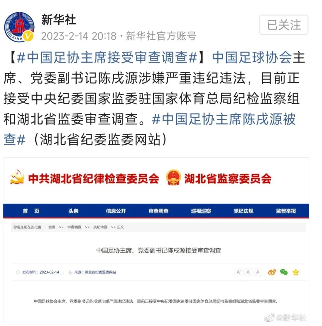 从足协主席陈戌源的落网看中国体育的*国体举**制