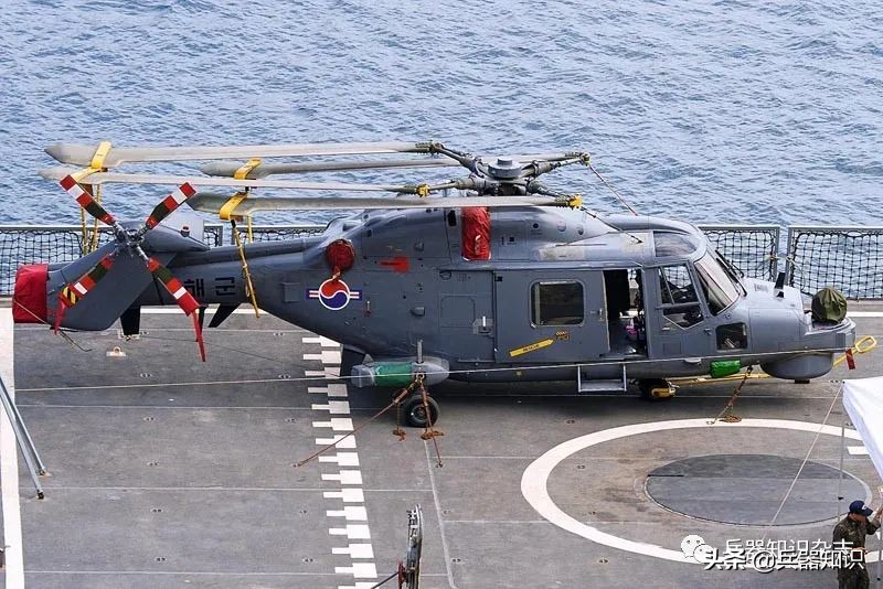 飞天的猫,飞天的猫和鱼