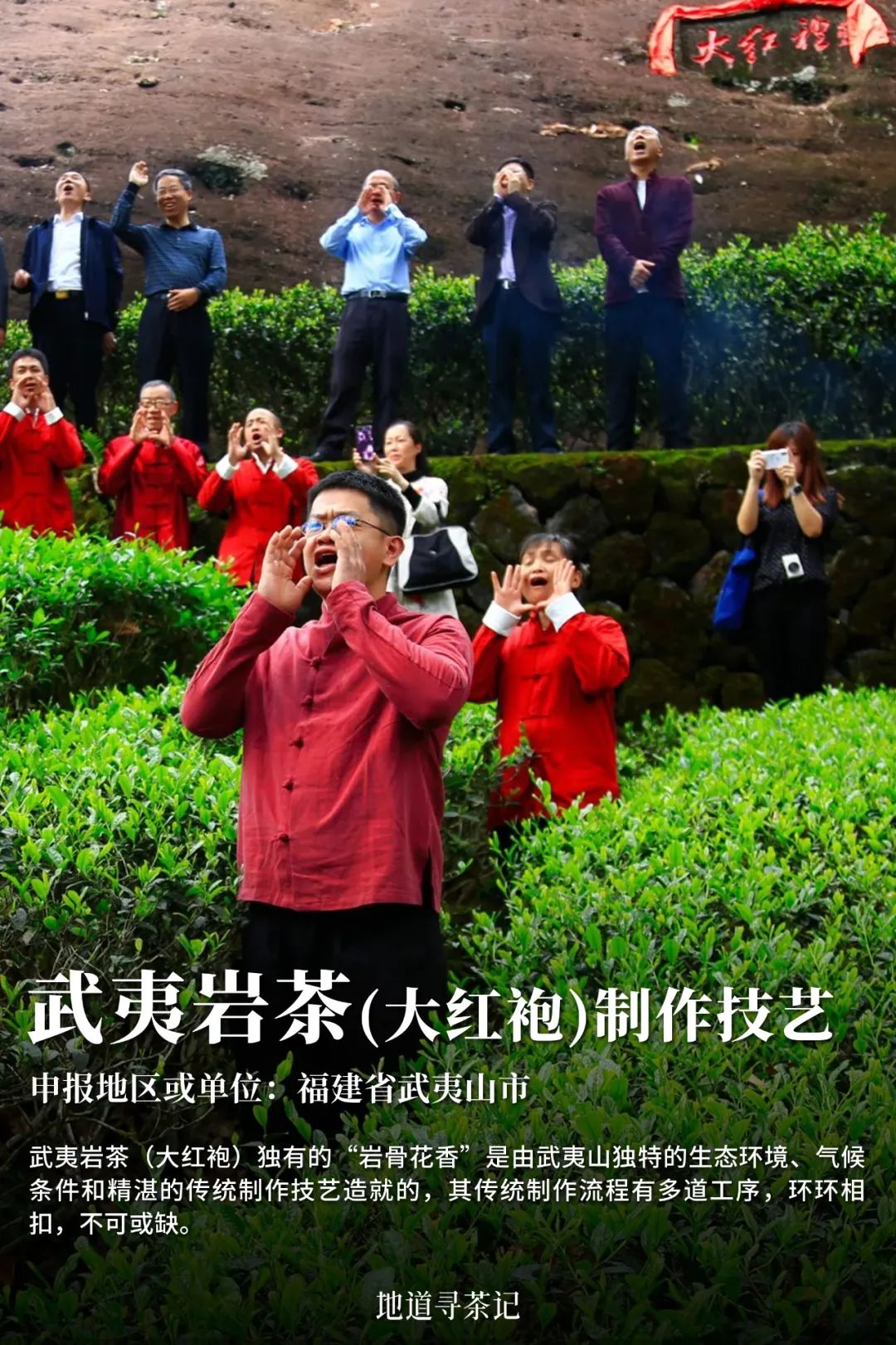 史上最全“中国传统制茶技艺及其相关习俗”展示，建议收藏！