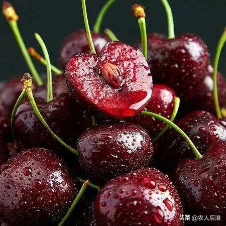 智利车厘子如何保鲜,车厘子过海怎么保鲜