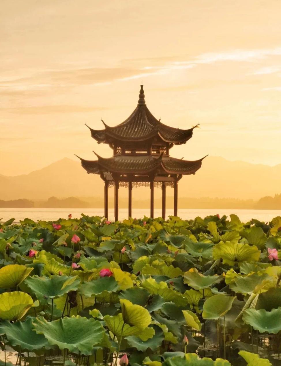 这还是你认识的合肥吗,这还是你认识的蜜雪冰城吗