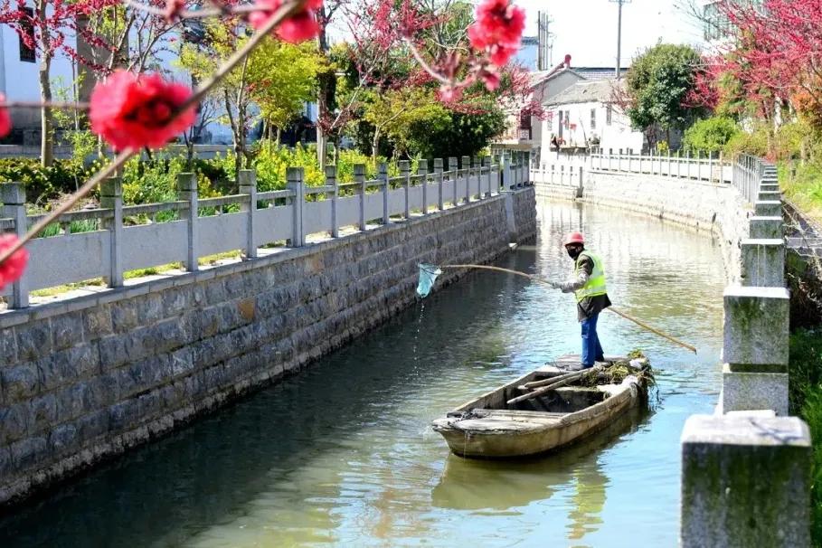 大丰区百强区,大丰区2021年全国排名
