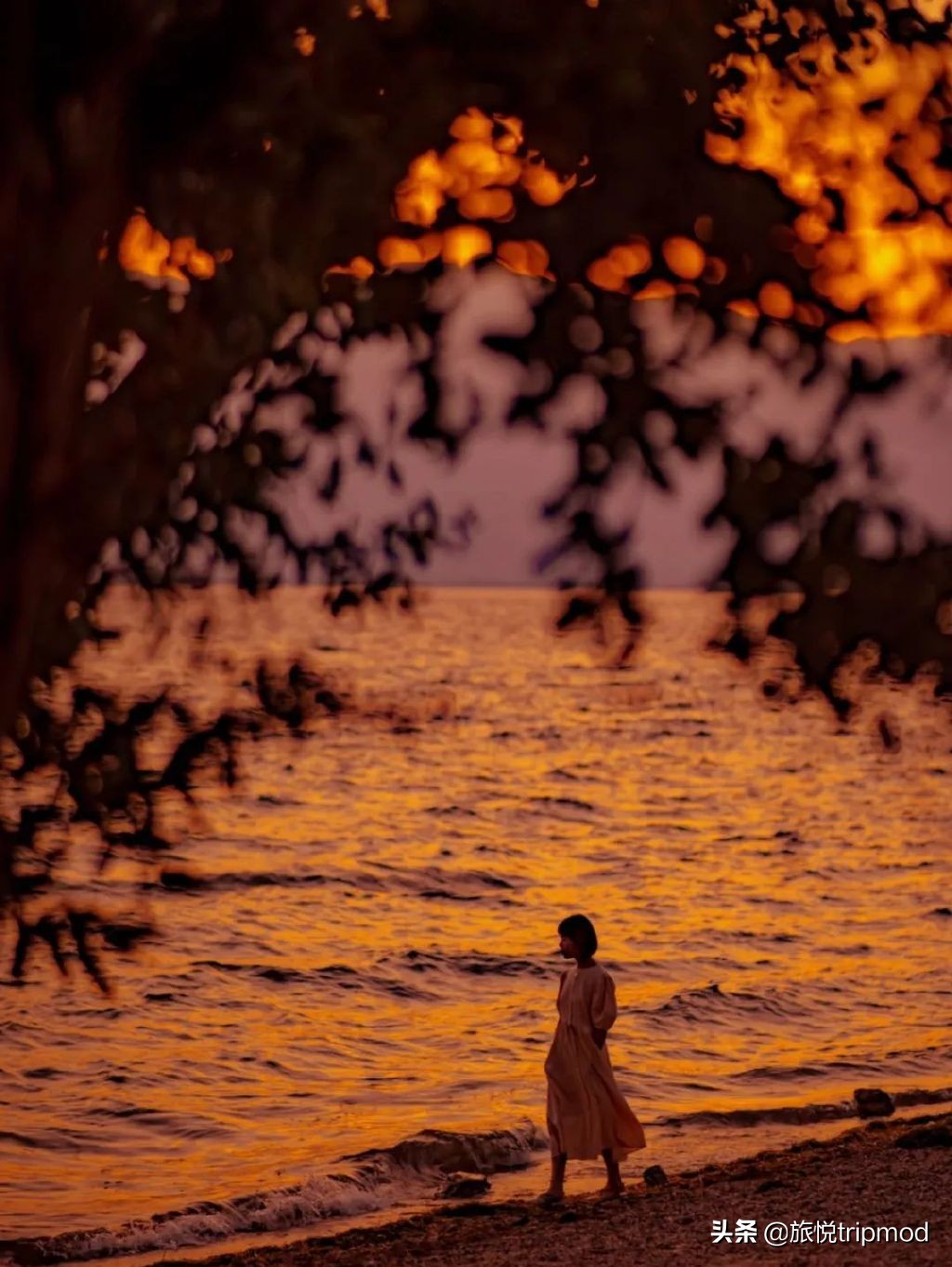 三亚免费适合自驾的环海公路,三亚最美环海公路推荐