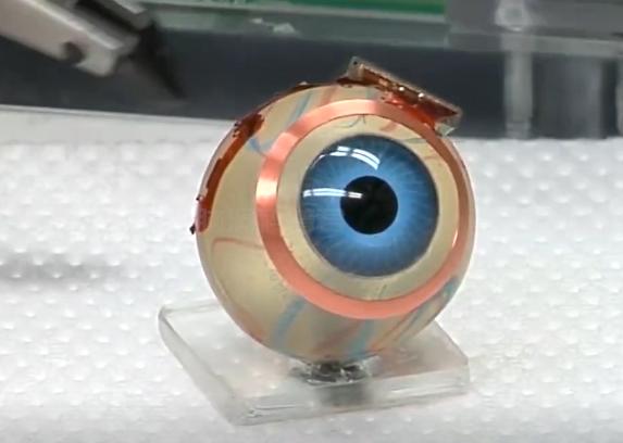 人造人体所有器官未来有可能吗,人造器官心肝脾肺肾脏