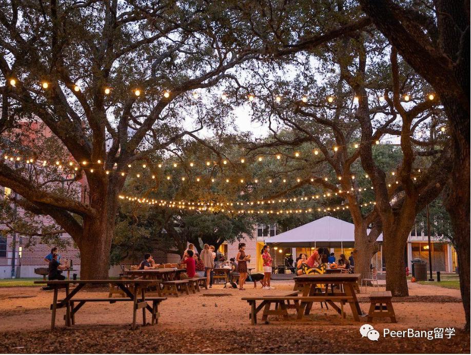 美国top50大学国际生录取率,哈佛国际生