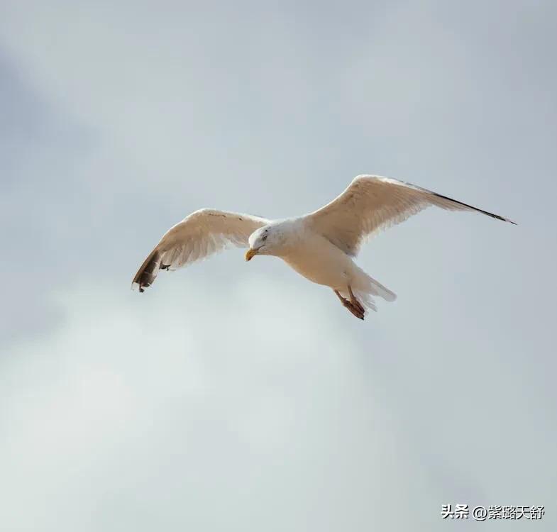 你还在为生活而烦恼吗英文歌曲,你还在为生活焦虑吗