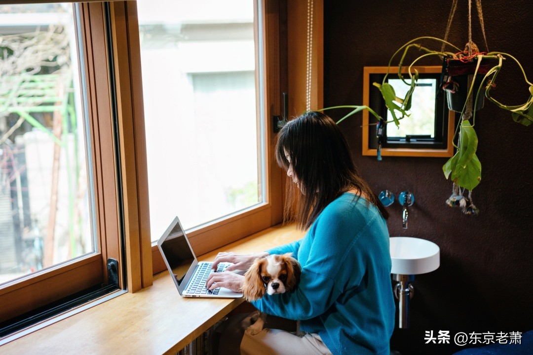 日本投资风险有哪些,日本投资酒店式公寓的坑