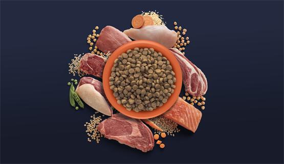 卡比canidae旗舰店,卡比canidae