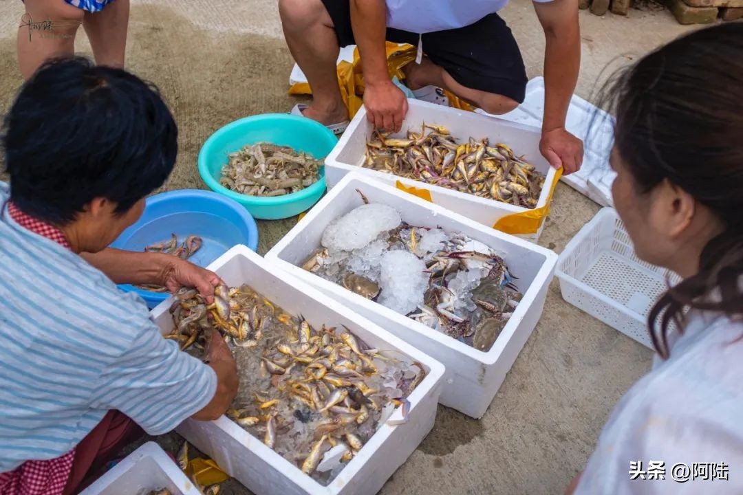 <html>
<head><title>502BadGateway</title></head>
<body>
<center><h1>502BadGateway</h1></center>
<hr><center>nginx</center>
</body>
</html>
<!--apaddingtodisableMSIEandChromefriendlyerrorpage-->
<!--apaddingtodisableMSIEandChromefriendlyerrorpage-->
<!--apaddingtodisableMSIEandChromefriendlyerrorpage-->
<!--apaddingtodisableMSIEandChromefriendlyerrorpage-->
<!--apaddingtodisableMSIEandChromefriendlyerrorpage-->
<!--apaddingtodisableMSIEandChromefriendlyerrorpage-->
