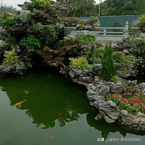 锦鲤的饲养方法和技术视频大全集,春季锦鲤鱼的养护理念和要点