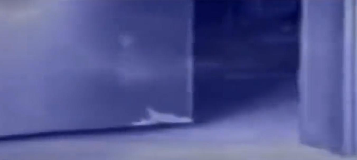 08年，河北女孩“瘫痪”卧床20年，姐姐安上监控后，戳穿多年*局骗**