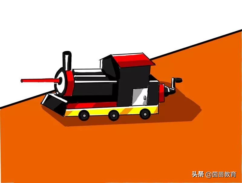 观察植物动物的书,观察动物小书本