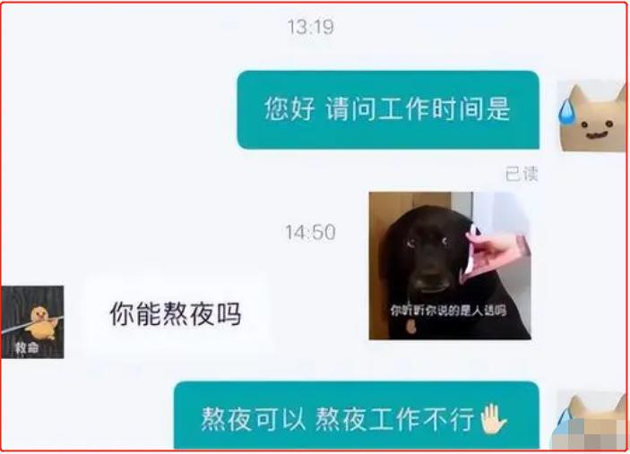 00后辞职信火了告辞,00后傲娇辞职信走红