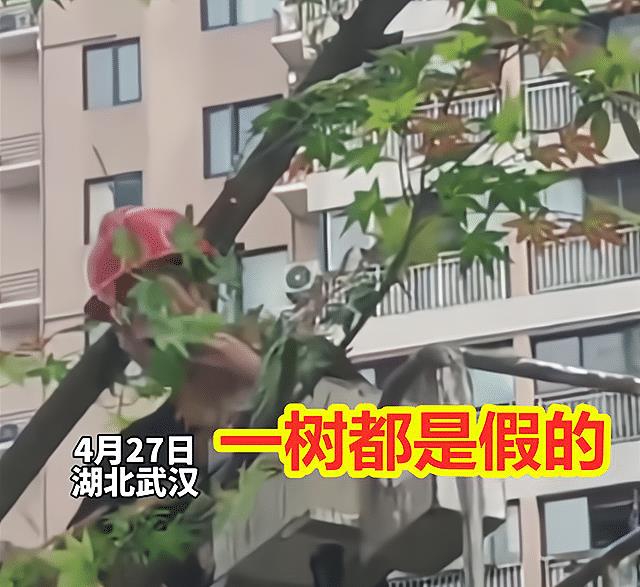 开发商冒充业主收房,开发商给买房者造假资料