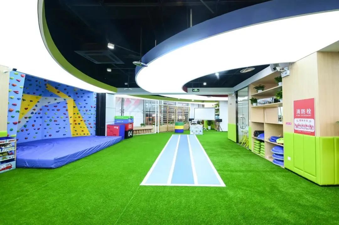 少儿体适能空白市场方案,儿童体适能行业白皮书