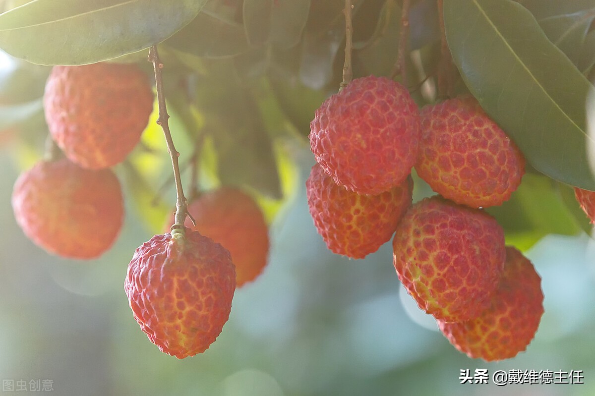 吃葡萄对甲状腺结节是否伤害,吃葡萄对甲状腺结节有坏处吗
