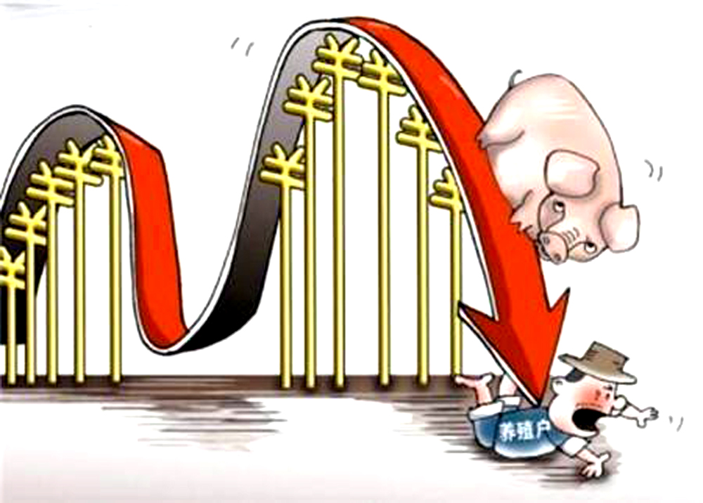 猪市暴跌的表现,本轮生猪价格走低是什么原因造成