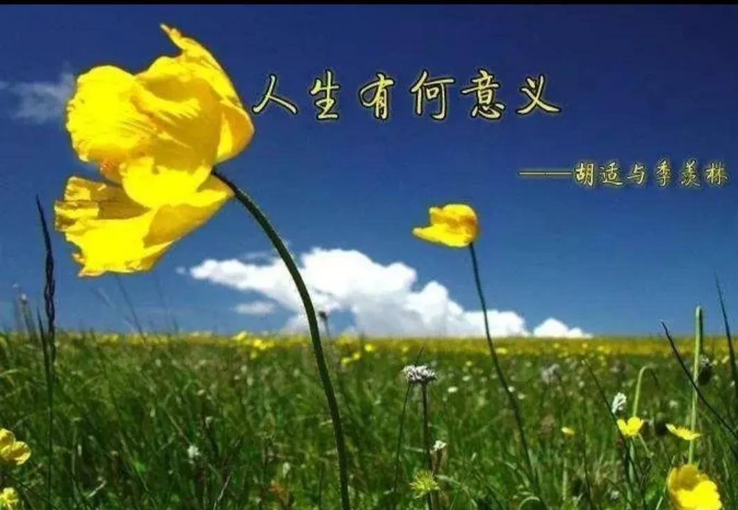 人的尊卑不靠地位不由出身,人可以不分大小但一定要懂尊卑