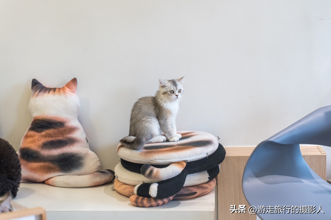 两夜一天游北京,石景山模式口古街