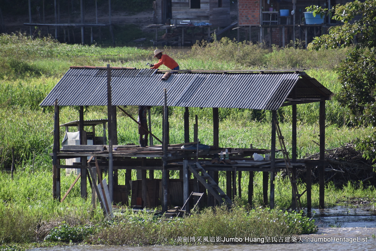 第5047回：消失的亚马逊文明，流失的林下聚居地