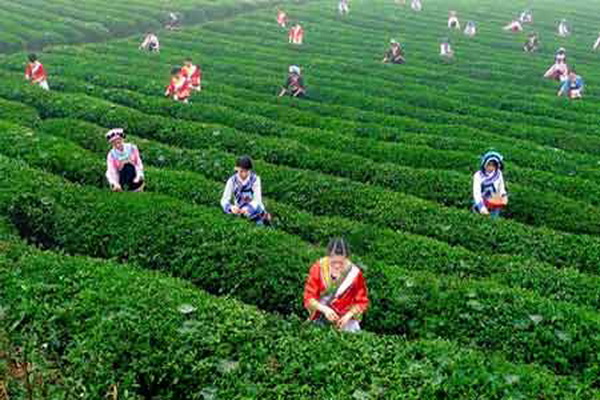 皖南皖北生活差异,皖南乡村生活