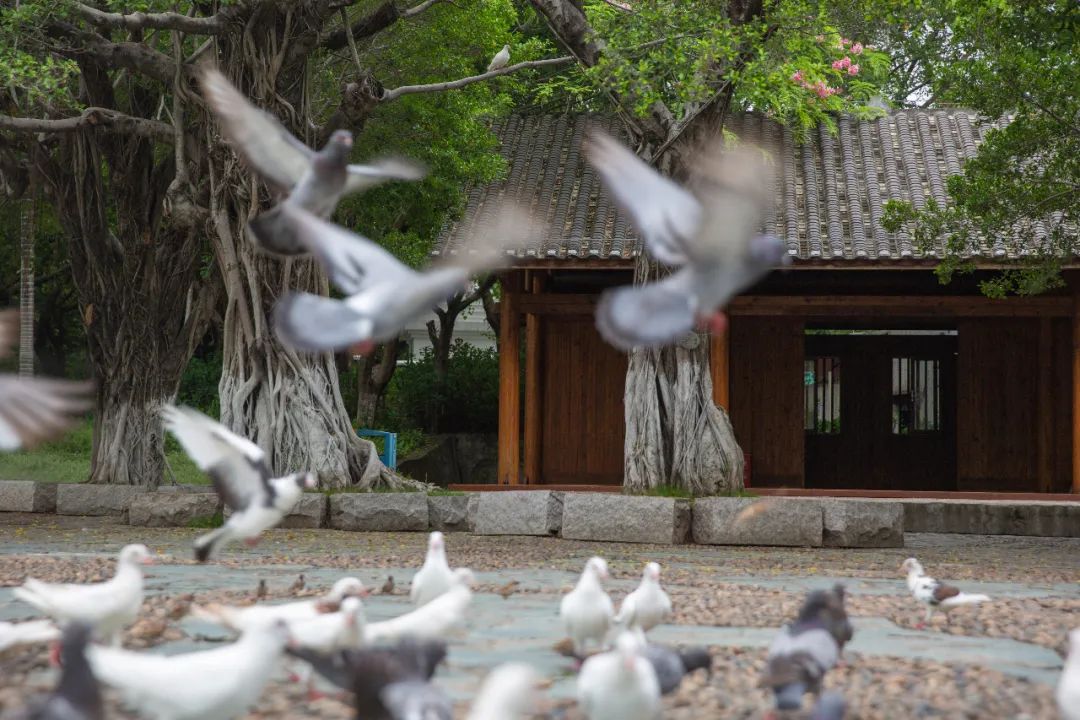 最值得推荐的厦门海景酒店有哪些,最值得推荐的厦门海景酒店