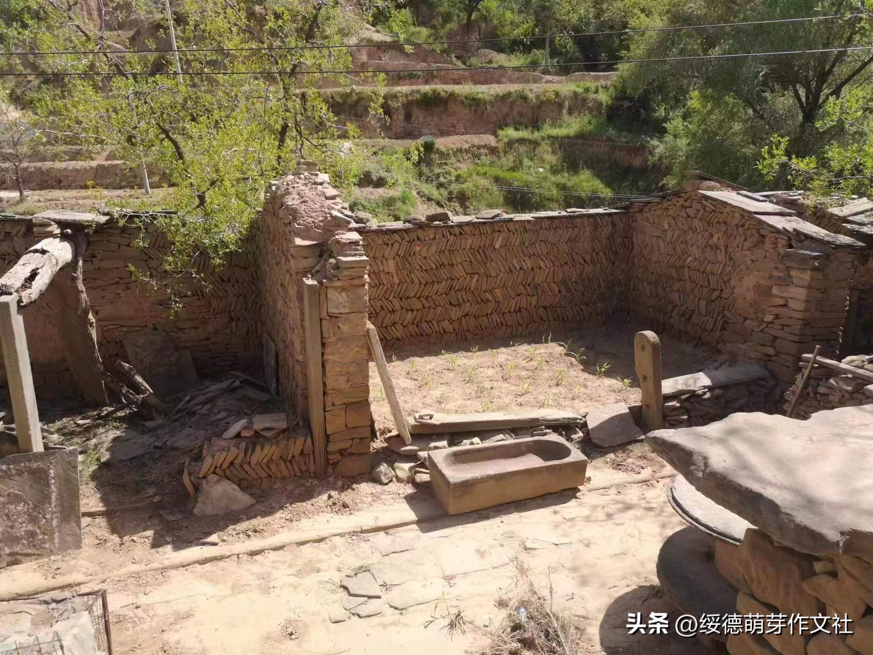 绥德薛家河高家沟村有我不舍的牵挂