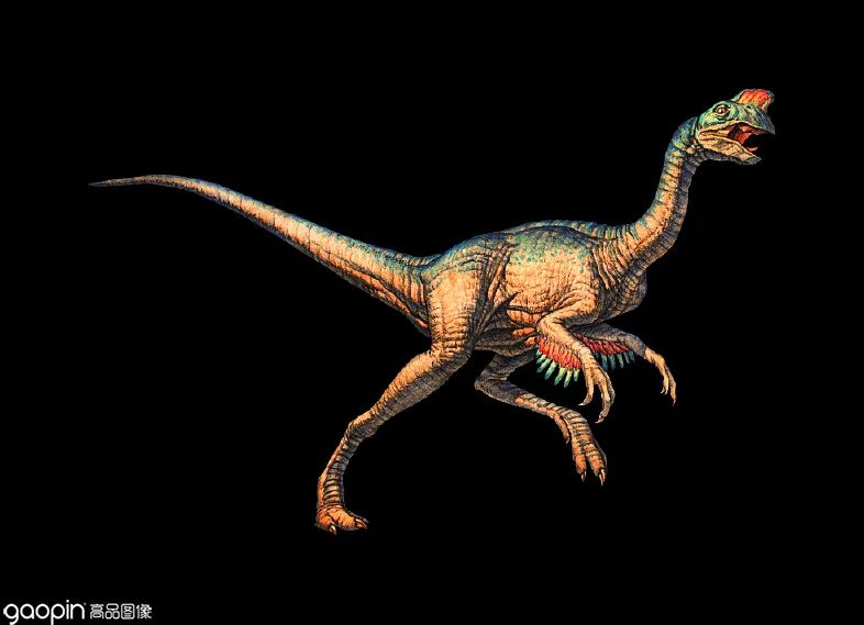 侏罗纪世界进化3恐龙打架,恐龙电影侏罗纪3