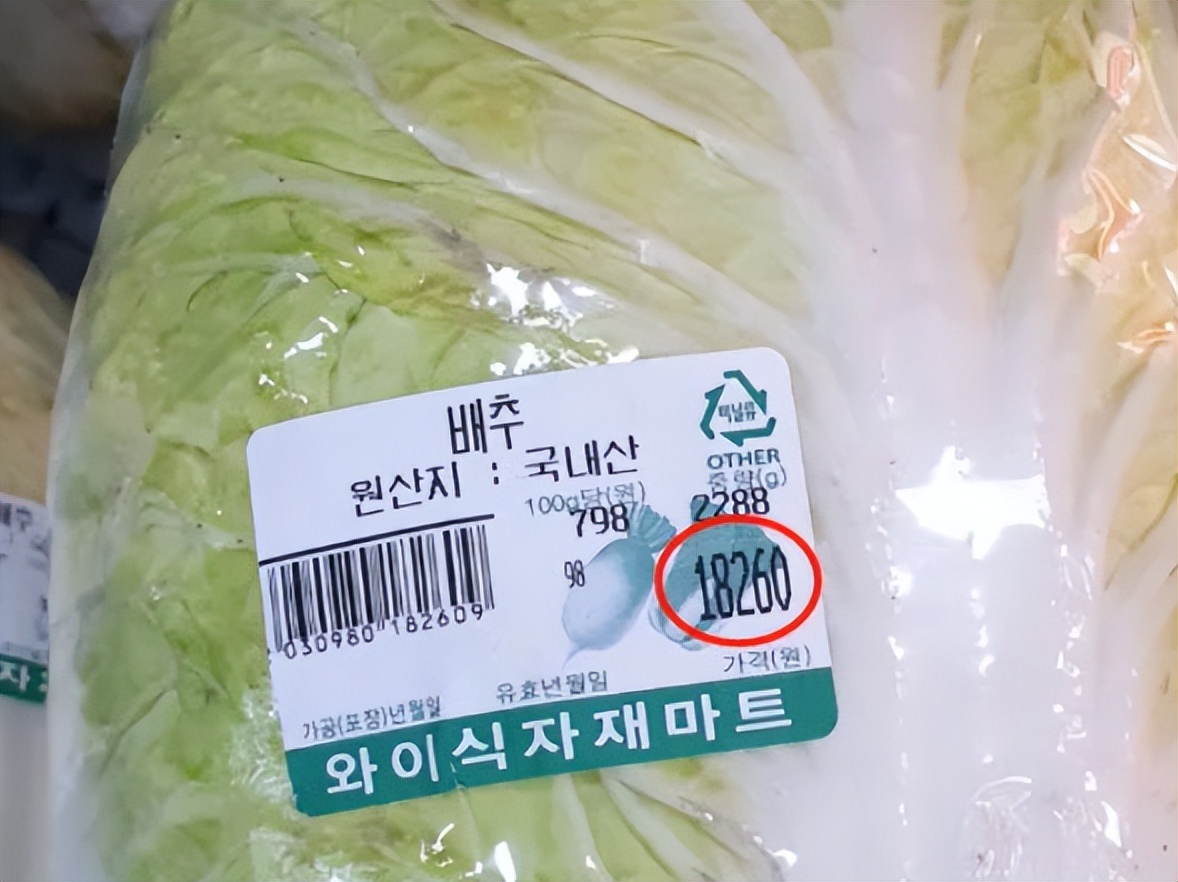 一颗白菜90元，韩国面临泡菜危机，山东小镇掌控韩国人泡菜自由