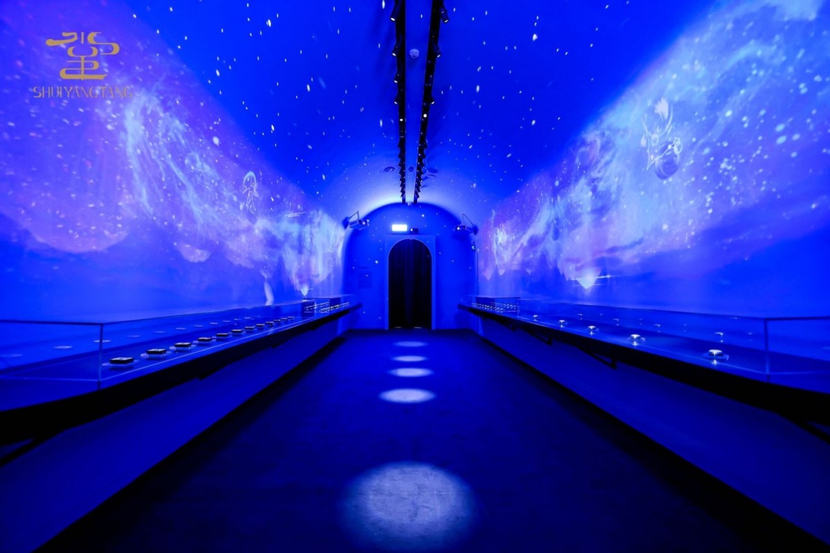 长沙水羊堂粉黛创世美妆典藏展 (水羊堂粉黛创世美妆典藏展首展)