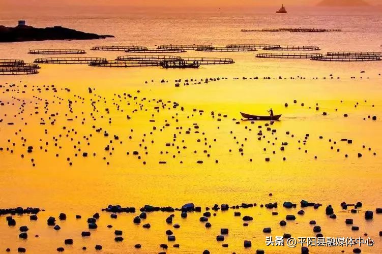 南麂岛哪个位置最好,坐拥八大出海口