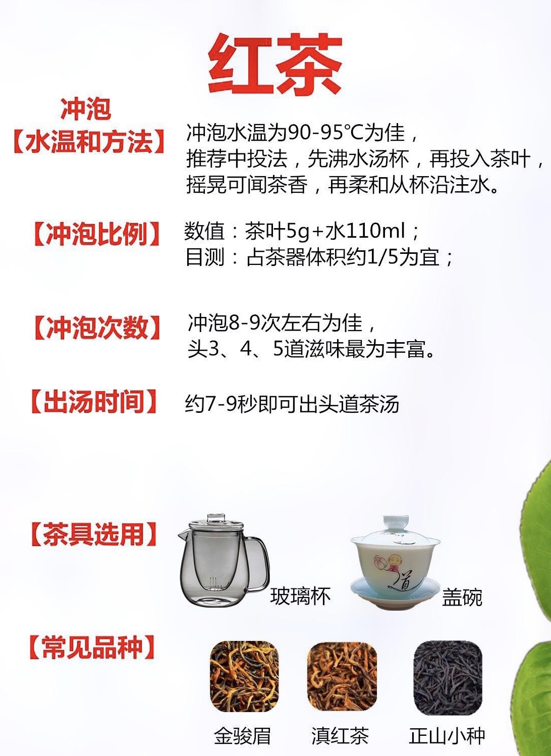 泡茶材料怎么泡又香又好喝,泡茶教程新手怎么泡