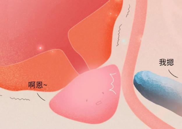 泌尿外科的医生忠告,为什么医生建议前列腺炎不要手术